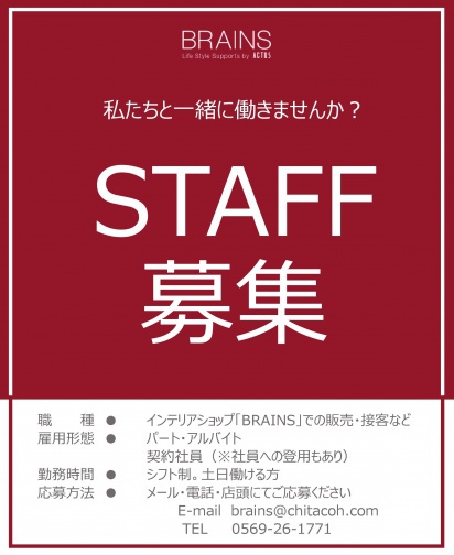 16ページ目 brains blog brains